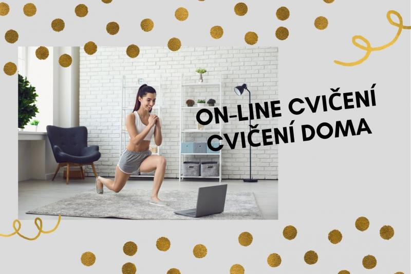 Permanentka platí pro aktivitu ON-LINE lekce - CVIČENÍ DOMA