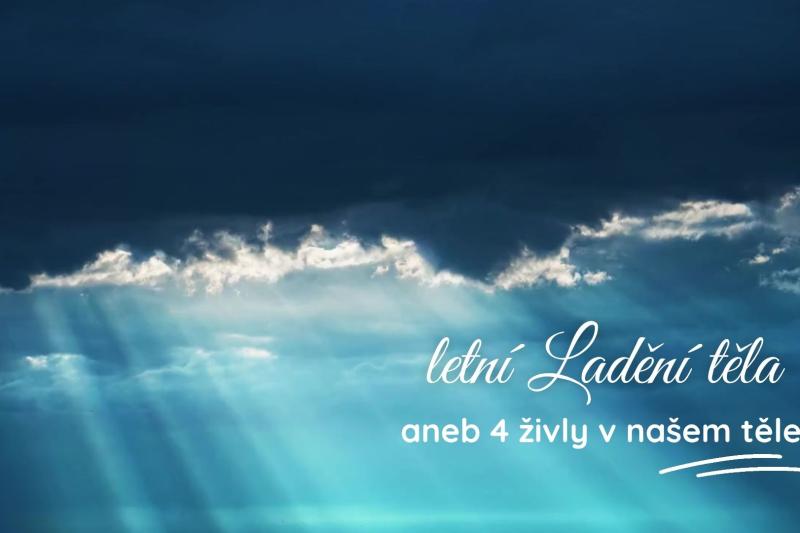 4 ŽIVLY LETNÍ LADĚNÍ TĚLA