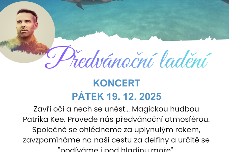 Předvánoční ladění - koncert Patrika Kee